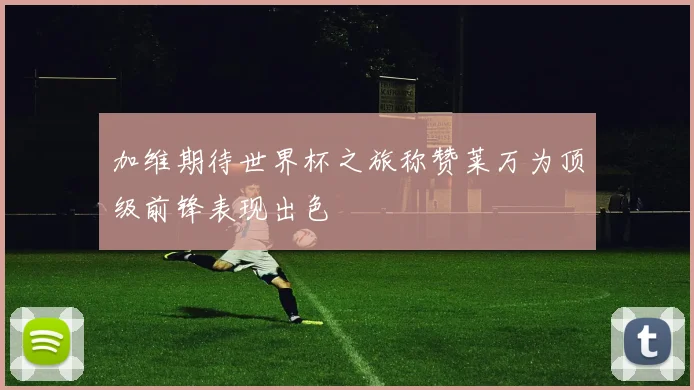 加维期待世界杯之旅称赞莱万为顶级前锋表现出色