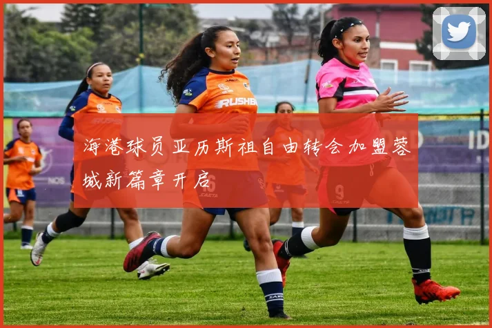 海港球员亚历斯祖自由转会加盟蓉城新篇章开启